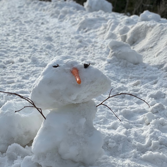 Meet your Posher, Fifi - Picture 1 of 1